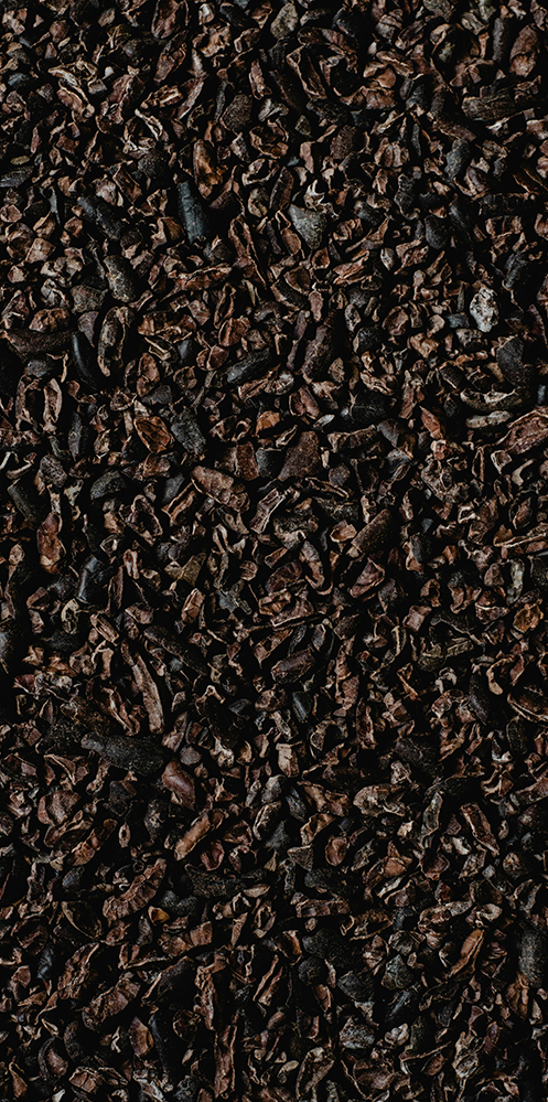 Nibs de Cacao Orgánico