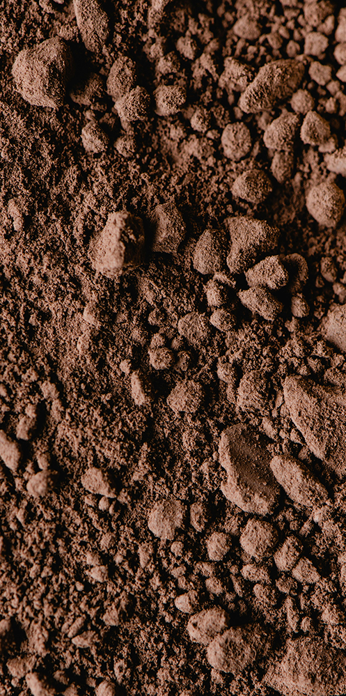 Polvo de Cacao Orgánico